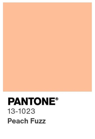 Peach Fuzz: The Pantone Colour of the Year for Your Hair