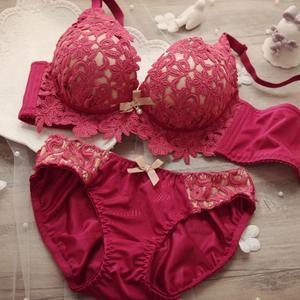 Women Embroidered Bra Set Wirefree Push Up Set