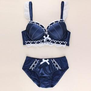 Women's Silk Push up Bra and Panty 2 Piece Lingerie