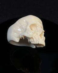 ossua et acroamata hand craved antler skull ring