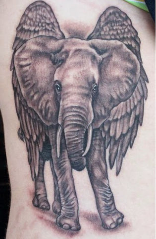 elephant avec des ailes