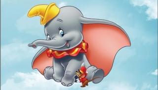 dumbo