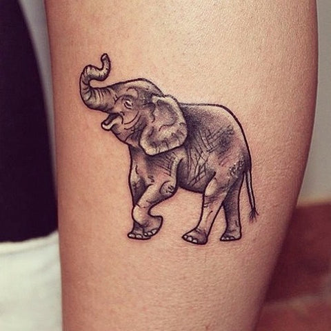 tatouage elephant trompe en l'air