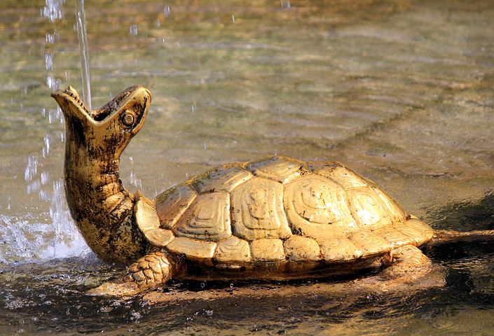 fontaine tortue