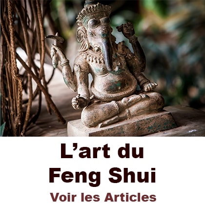 le feng shui