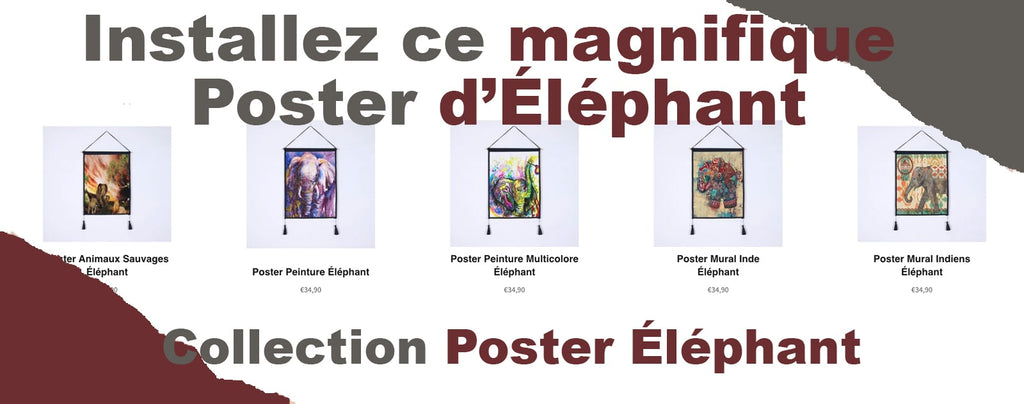 collection de poster éléphant