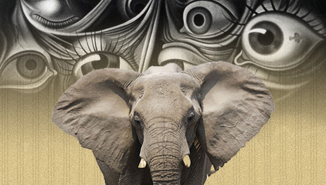 Significations Des Reves D Elephants Elephant Savane