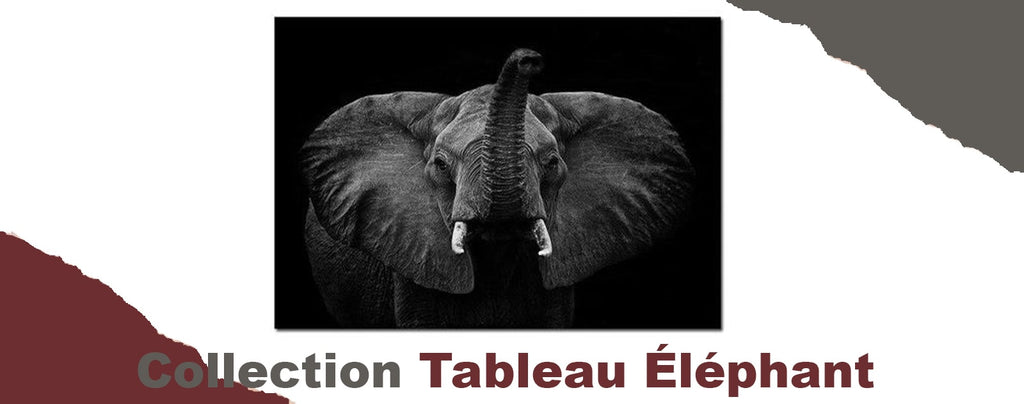 collection de tableau éléphant