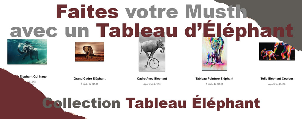 collection de tableau éléphant