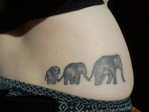 tatouage elephant file indienne