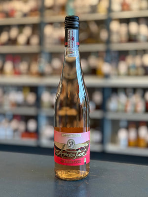 AMEZTOI 'RUBENTIS' GETARIAKO TXAKOLINA ROSADO, SPAIN 2024 - Bogey's Bottled Goods