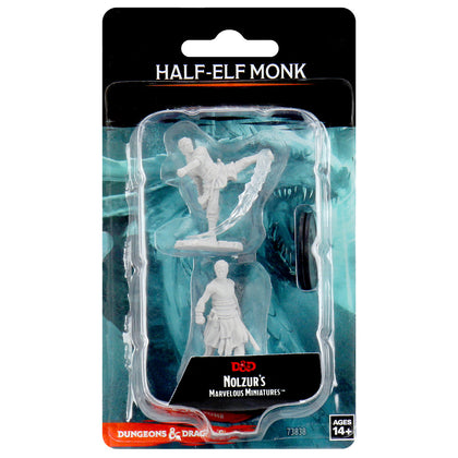 D&D® Nolzur's Marvelous Miniatures - Male Half-Elf Monk - 1