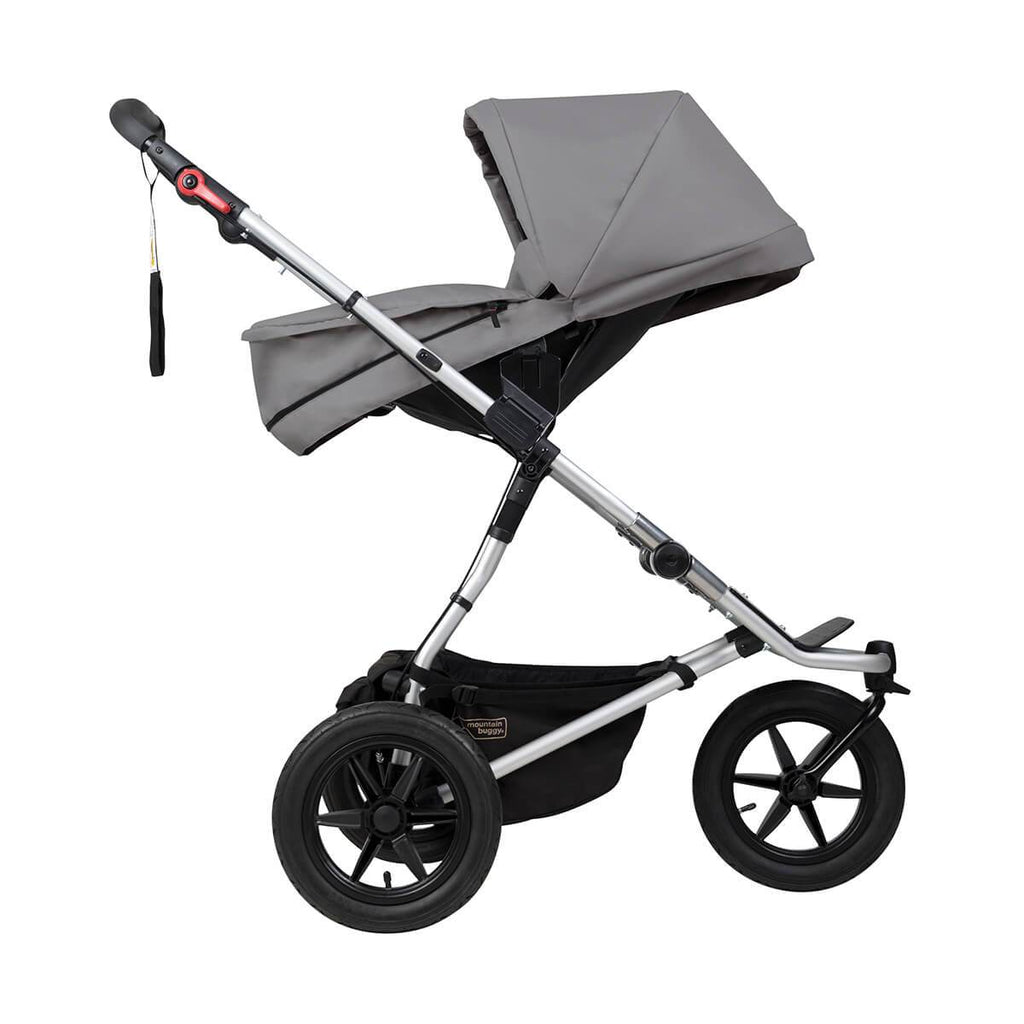 pushchair and carrycot in one