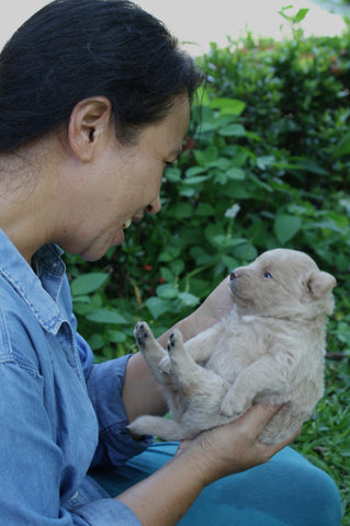 Woman Smiles as she Cradles Puppy In Her Hands