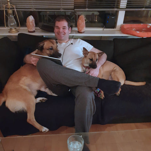 Two dogs sit with their owner on a couch