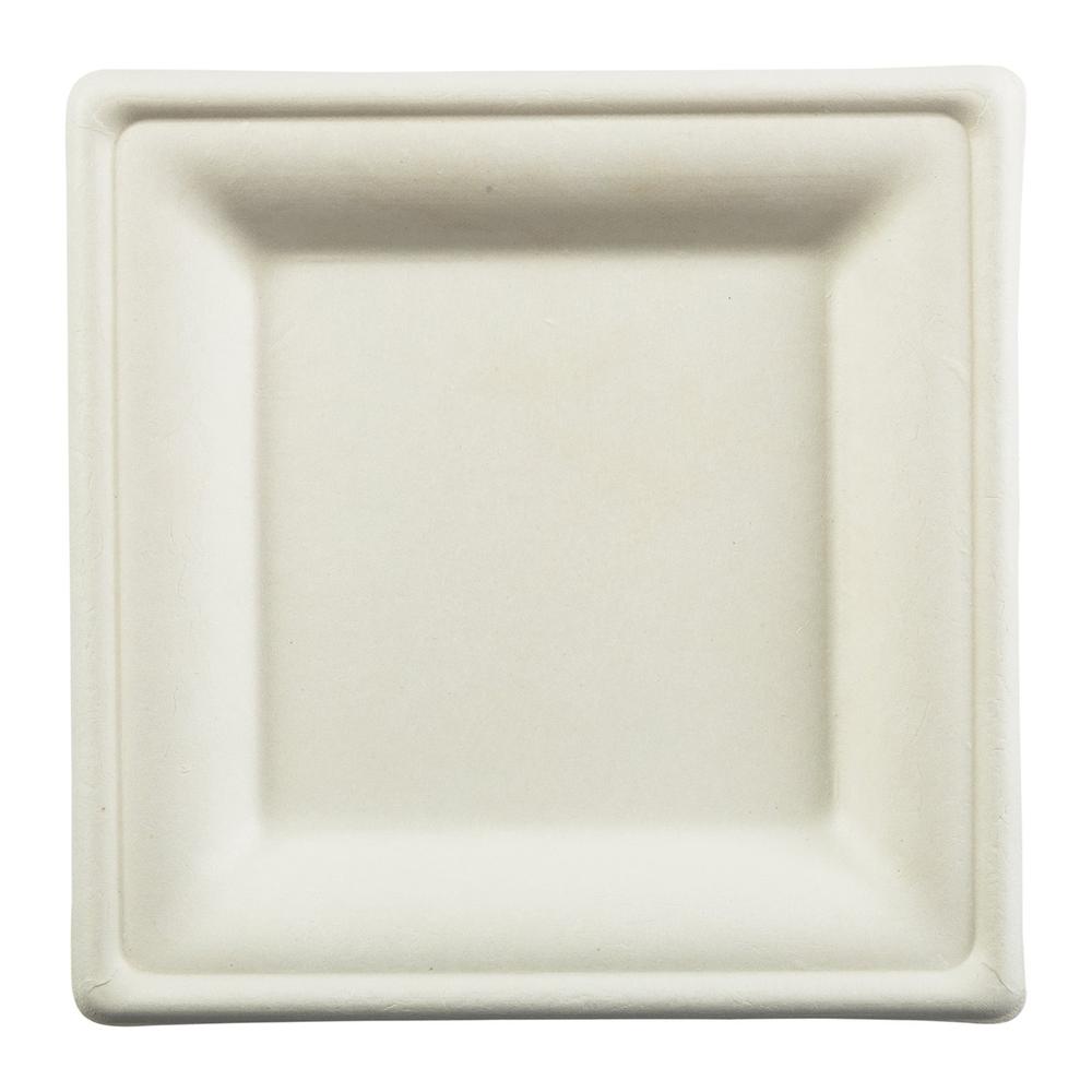 white square disposable plates