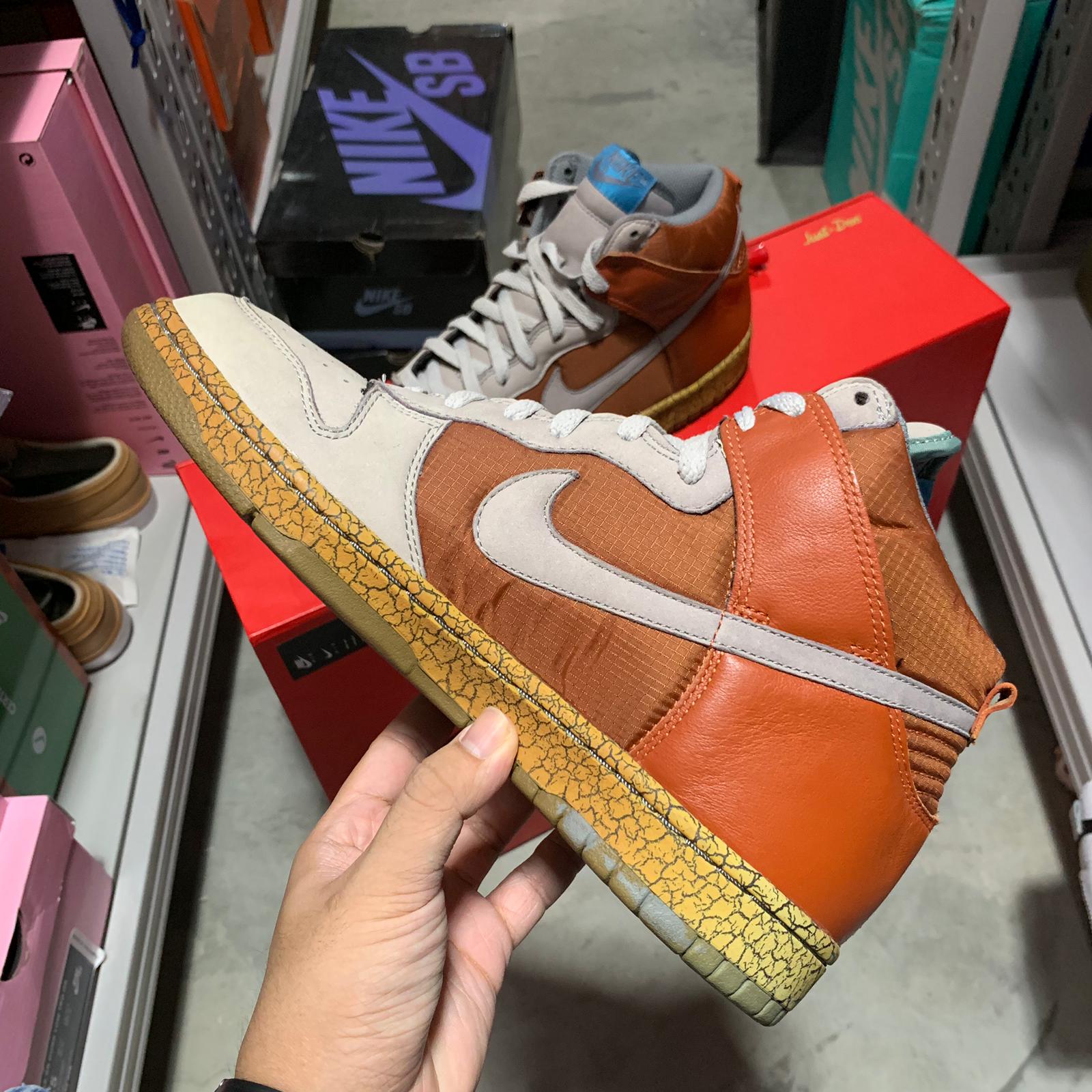 nike sb earthquake