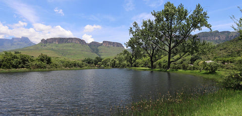 drakensberg royal natal national park