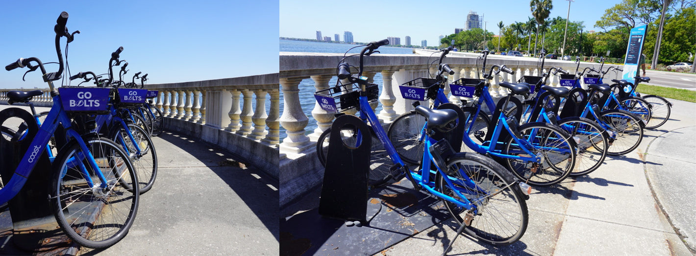 Bikes on Bayshore Boulevard in Tampa Florida