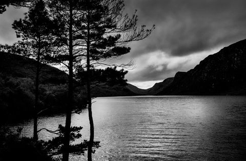 A black and white image of Glenveagh with silhouetted trees and sunlit water.