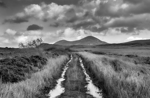 A black and white image of a water-filled path leading to hill peaks in the background.