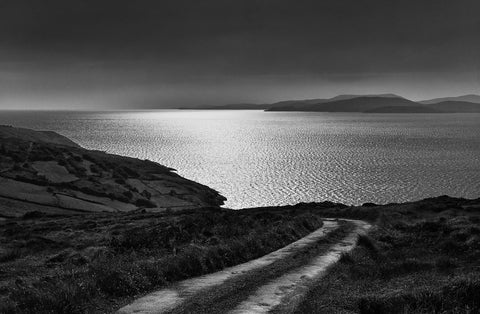 A countyside lane with fields and the sunlit sea in the background.