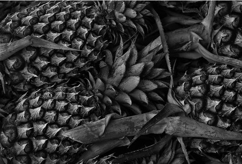 A close-up shot of pineapples.
