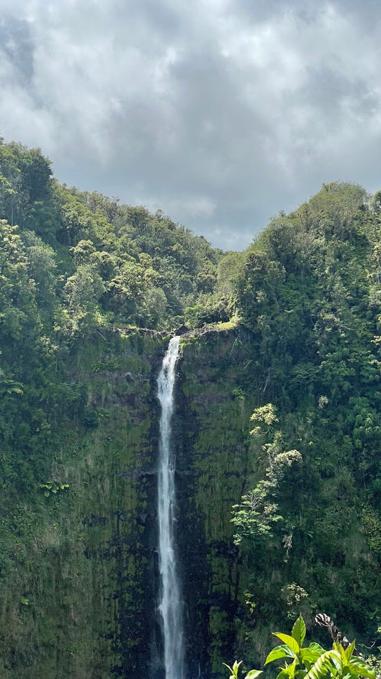 Ashley's photograph of a beautiful Hitra waterfall.