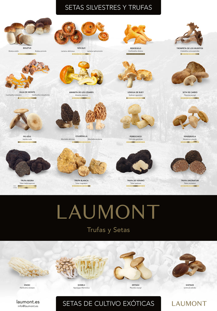 Calendario de Setas Laumont