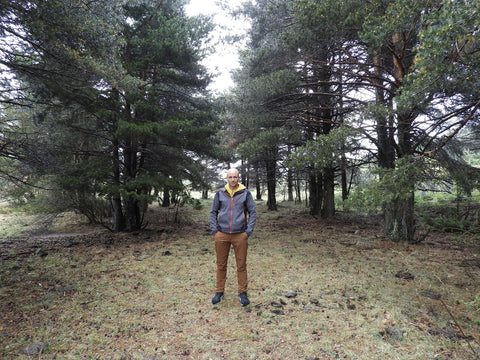 Rubén Monforte, LAUMONT professional mushroom hunter