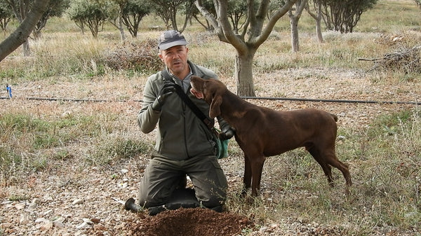 Secrets of a Laumont Truffle Farmer