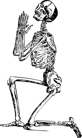 Squelette à genou