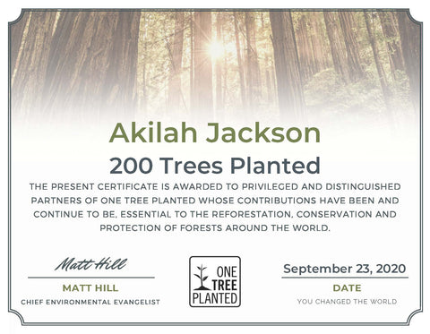 Sunsum Intention Candles Plants 200 Trees in September 2020