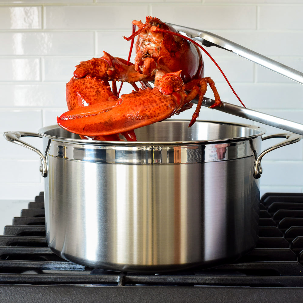 https://cdn.shopify.com/s/files/1/0266/8668/5227/products/31567_HES_HN3_8qt_Stockpot_Lobster__56481.jpg?v=1628294172&width=1000