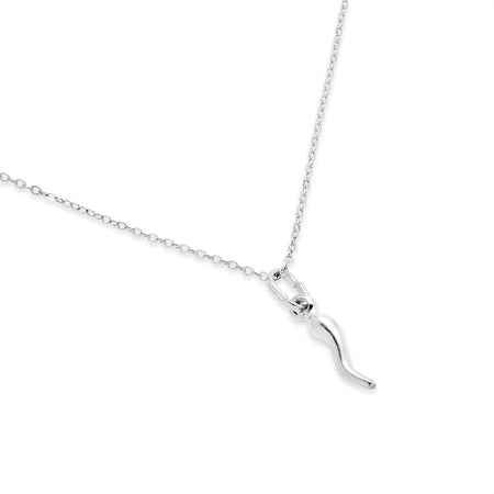 Amazon.com: Lucky Italian Horn Pendant Necklace 18K White Gold Over 925  Sterling Silver Cornicello Horn Talisman Necklace Protection Amulet Jewelry  for Women Sisters Best Friends Gift FP0061W : Clothing, Shoes & Jewelry