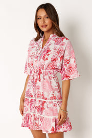 Buy AMERICAN EAGLE Womens U-1399-7040-199 Floral Smocked Waist Tank Mini  Dress, CORAL, L at