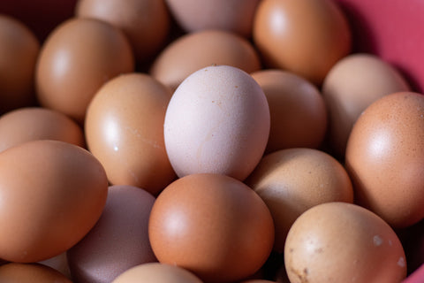 a stack of chicken eggs