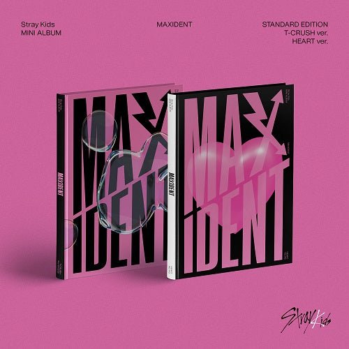 stray kids 1st japanese album [ the sound ] limited b ver. ( cd + zine )