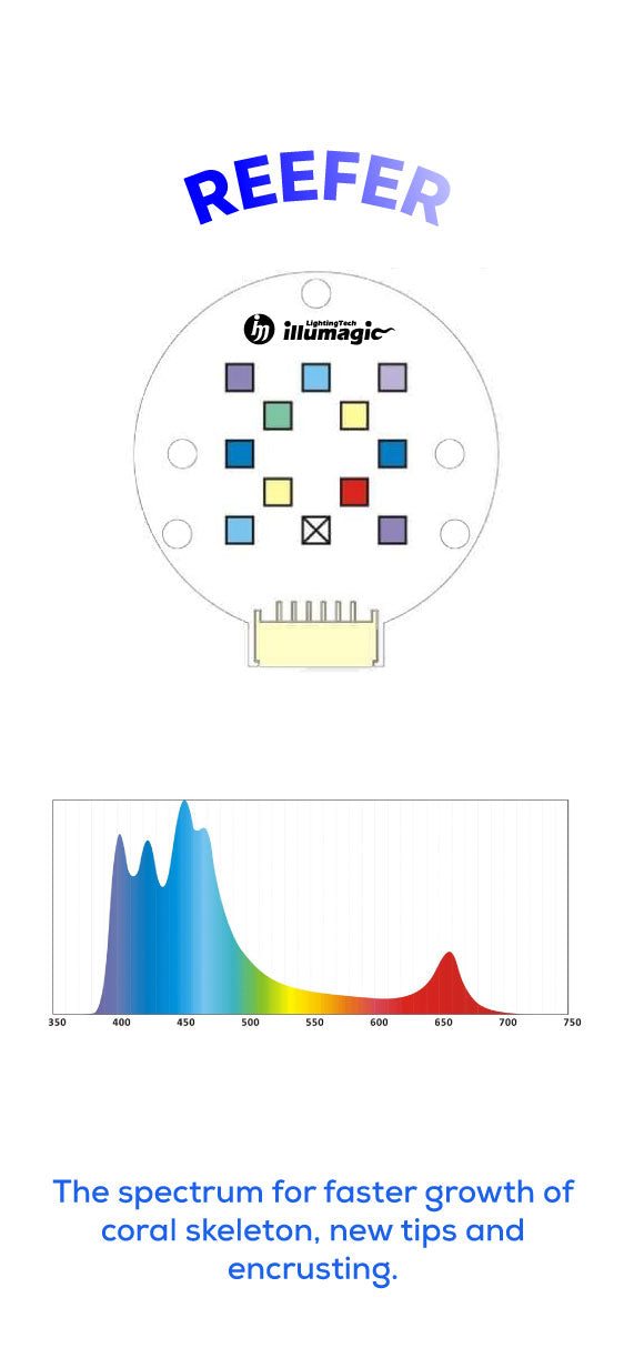 Illumagic Pixel Reefer