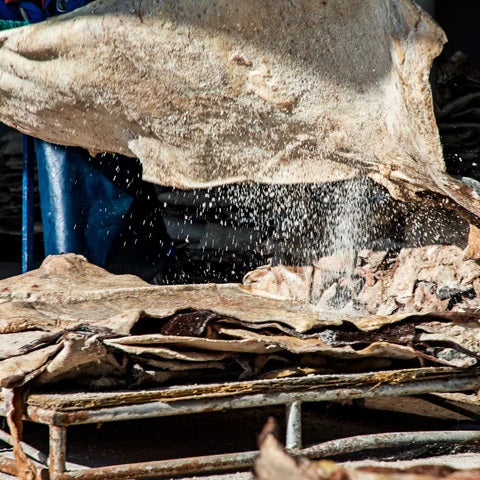 Cuir de sel pour sécher