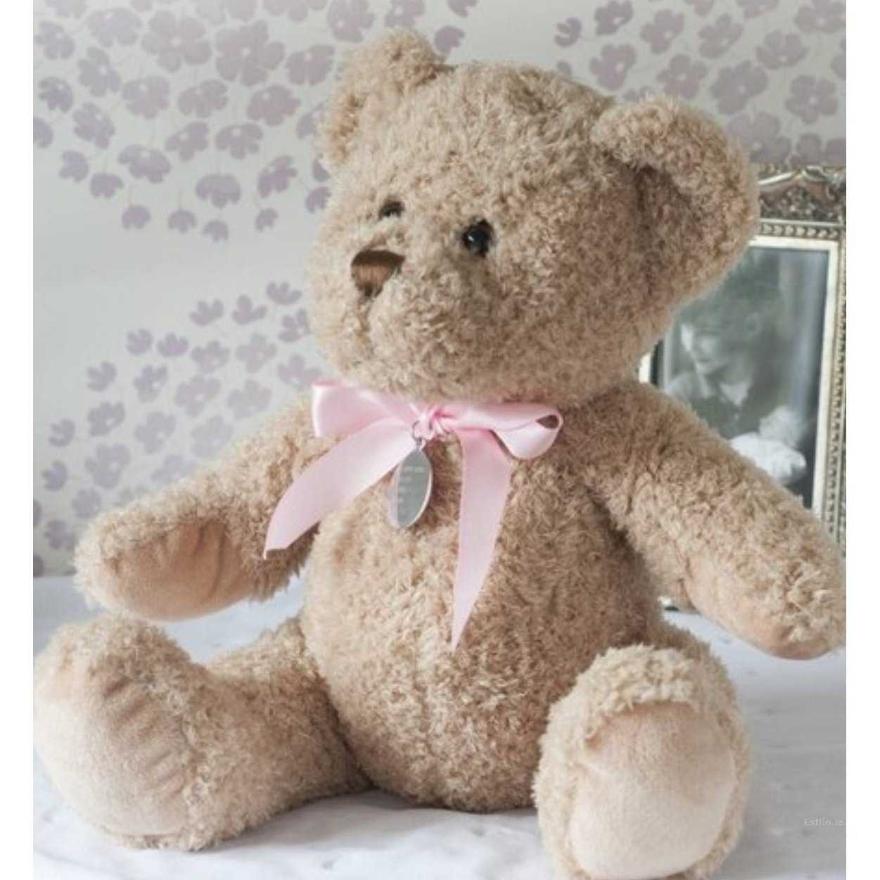 personalised baby bear