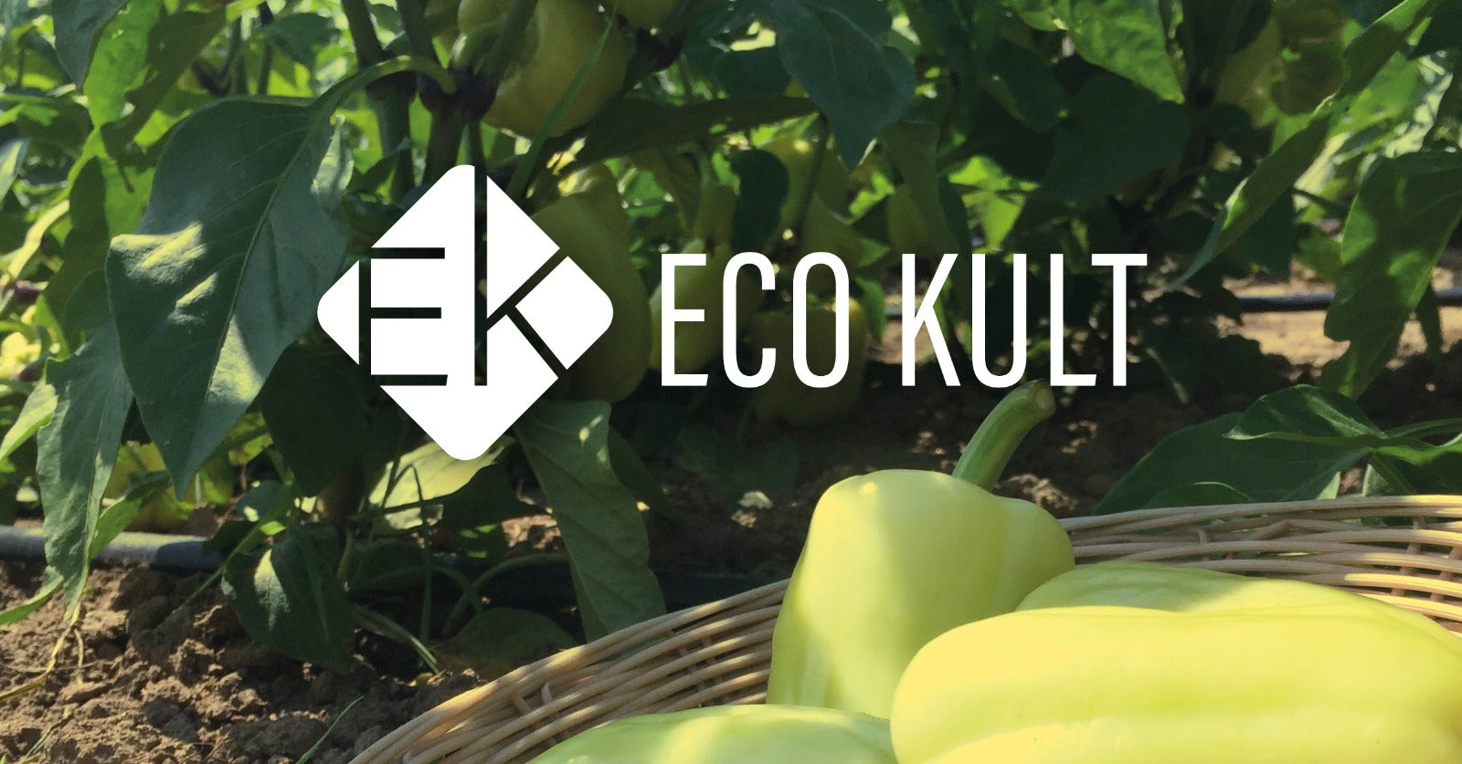 ecokult