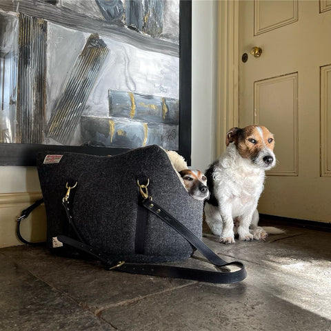 JACK RUSSELL TERRIER PUPPY AT HOME IN LUXURY BRITISH DOG CARRIER MADE IN ENGLAND BY HERITAGE DESIGNER PET ACCESSORY BRAND LISH 