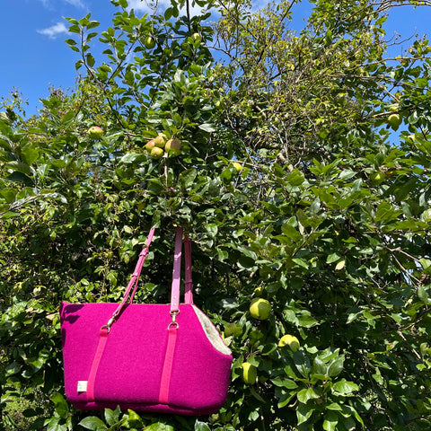 MAGENTA PINK COCKAPOO BREED PET CARRIER MADE IN ENGLAND BY BRITISH HERITAGE LUXURY BRAND LISH HANGING ON A BRITISH GARDEN APPLE TREE 