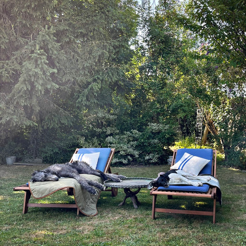 scottish deerhound and jack russell terrier asleep in the shade on sun loungers on top of LISH luxury recycled linen dog blankets