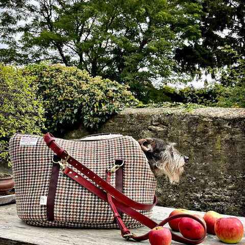 mini dachshund in heritage luxury  Harris Tweed designer dog carrier made in England by British Heritage Brand LISH 