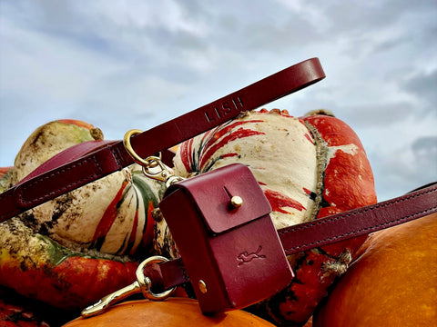 PUMPKIN PATCH WITH MAPLE RED VEGETABLE DYED LEATHER DOG LEADS, DOG LEASHES AND LEATHER PURSE MADE BY BRITISH HERITAGE BRAND LISH IN UNITED KINGDOM, LUXURY DOG ACCESSORIES FOR THE OUTDOORS