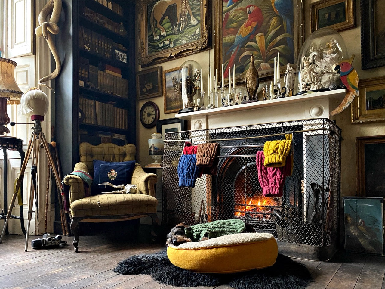 MINI DACHSHUNDS SLEEPING ON LUXURY DOG BEDS MADE BY LISH LONDON SUSTAINABLE PET ACCESSORY BRAND