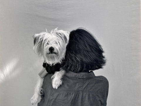 LILLY SHAHRAVESH AND HER MUSE RABBIT CREATIVE DIRECTOR OF LISH LUXURY PET FASHION BRAND