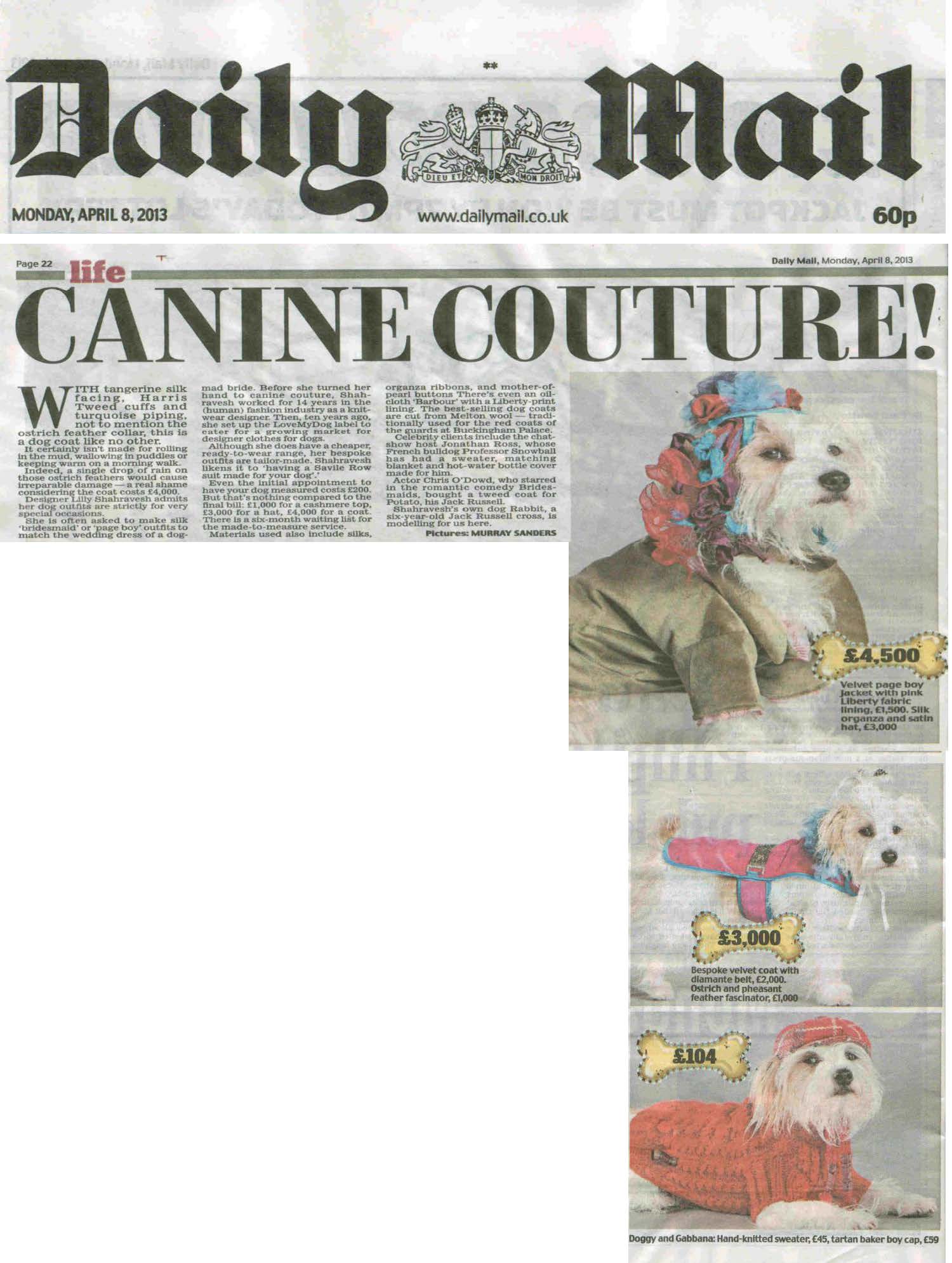 dog, dogs, style, magazine, press, editorial, daily mail, dog, canine, couture